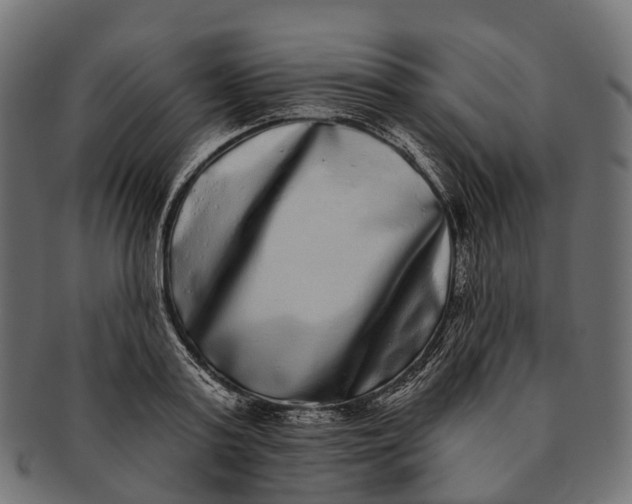 X0000091560795200709071126