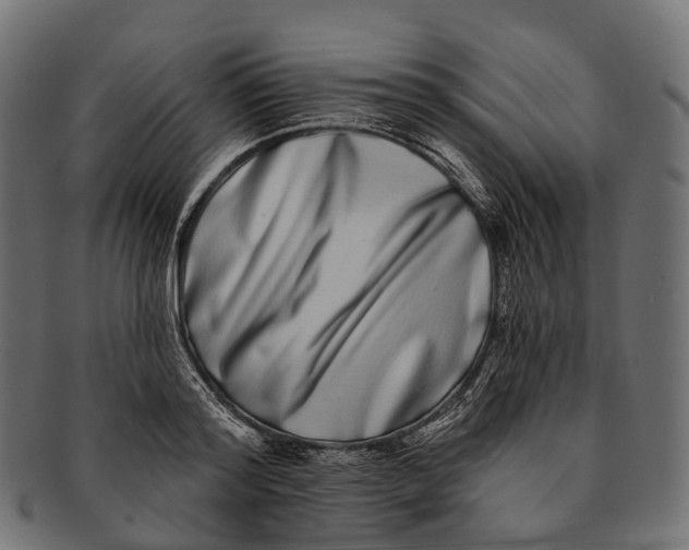 X0000091560796200709071126