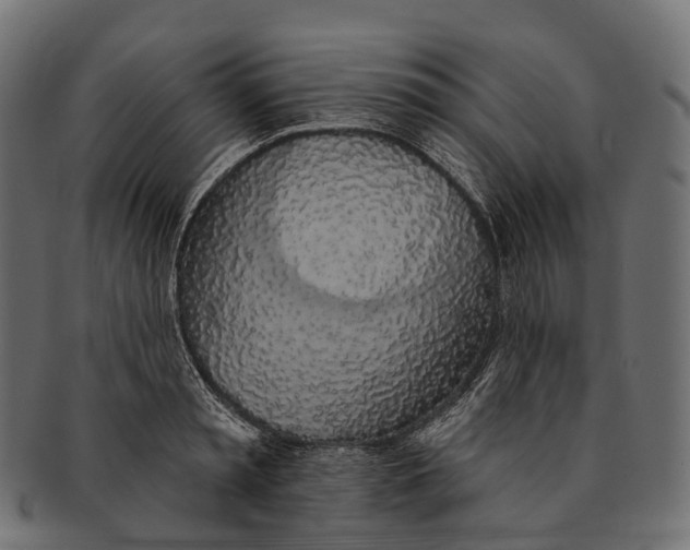 X0000091560797200709071126