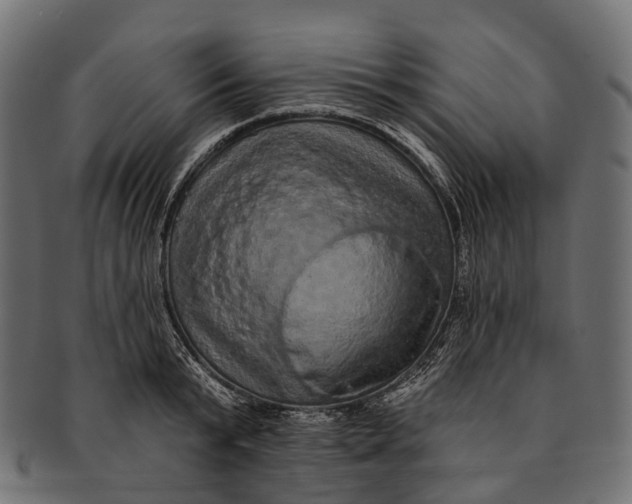 X0000091560799200709071126