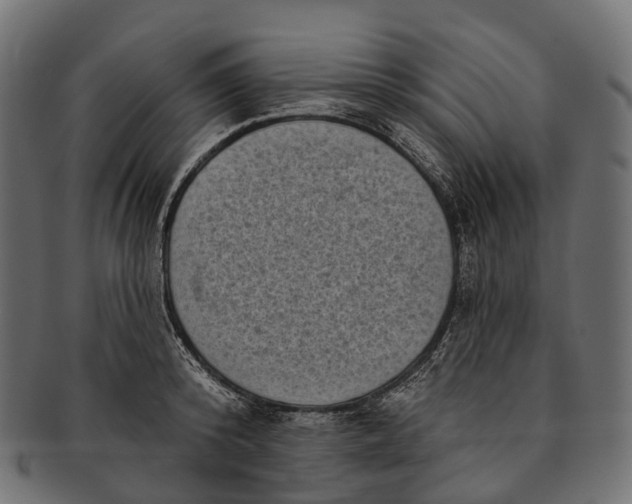 X0000091560800200709071125