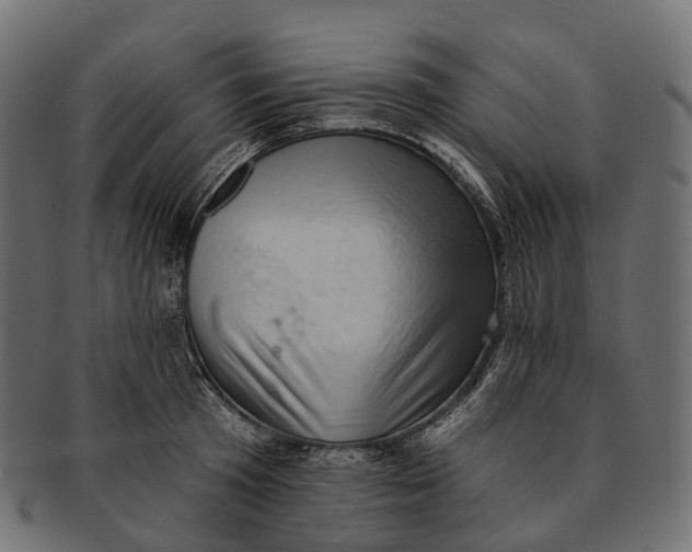 X0000091560801200709071125