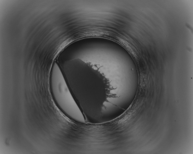 X0000091560802200709071125