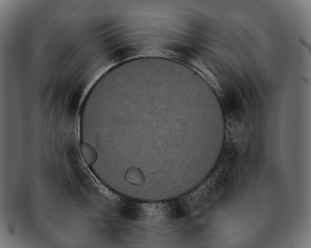 X0000091560804200709071125