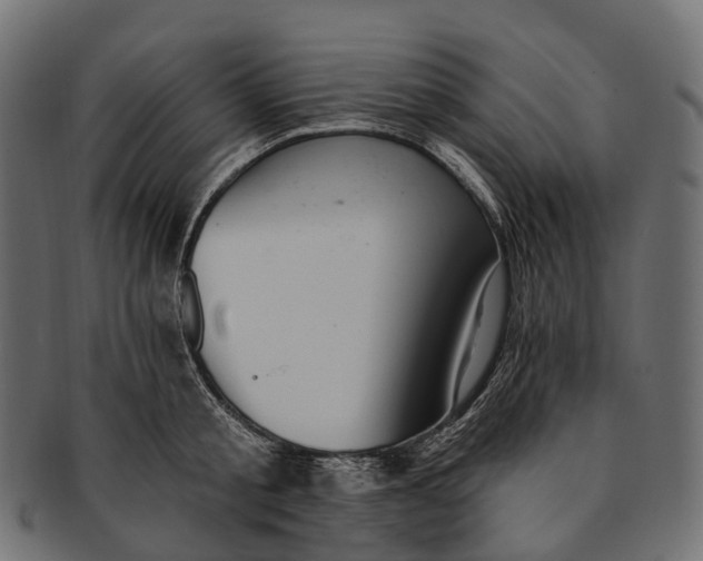 X0000091560805200709071125