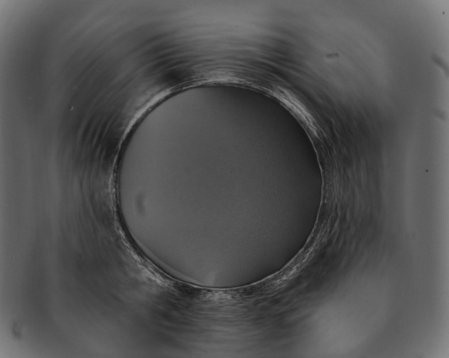 X0000091560806200709071125