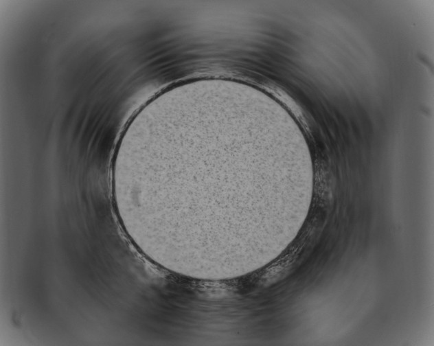 X0000091560807200709071125