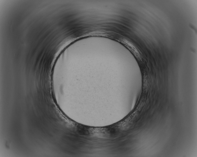 X0000091560808200709071125