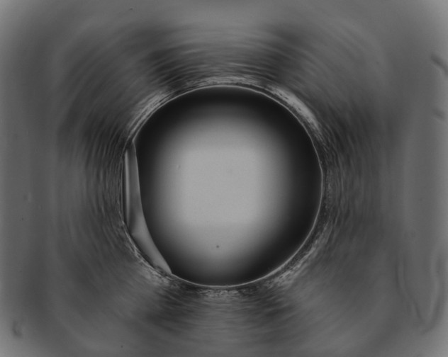 X0000091560809200709071125