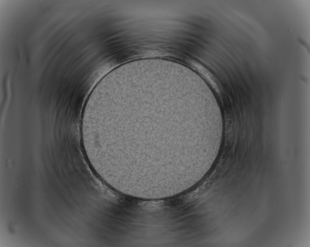 X0000091560810200709071125