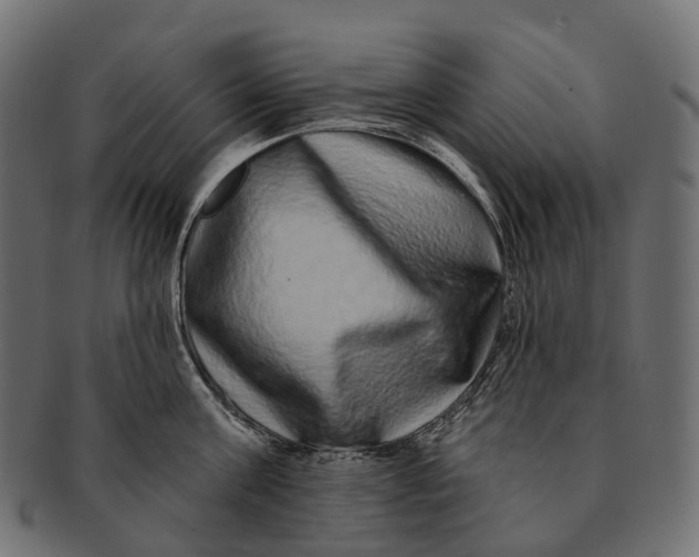 X0000091560811200709071125