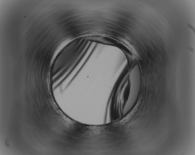 X0000091560812200709071125