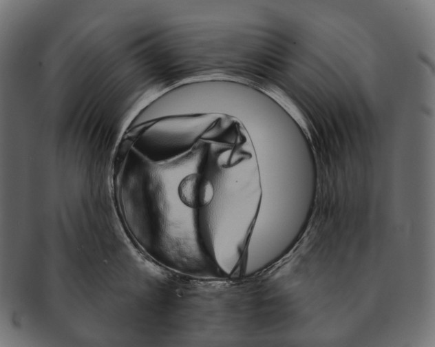 X0000091560813200709071125