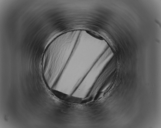 X0000091560814200709071125