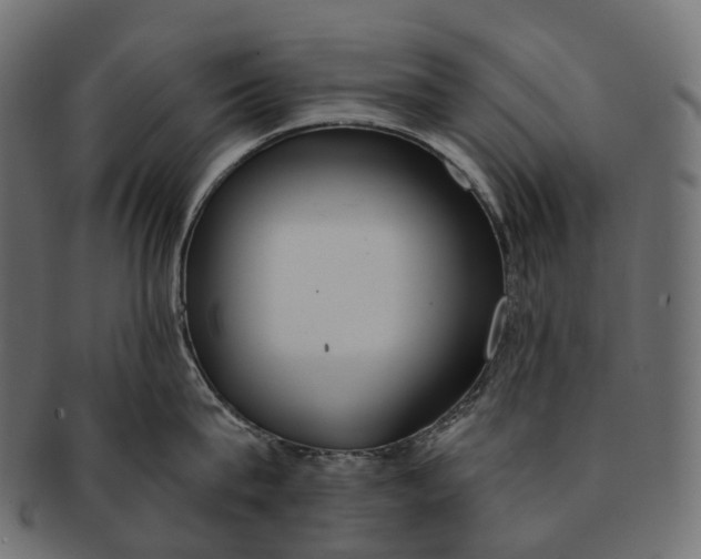 X0000091560815200709071125