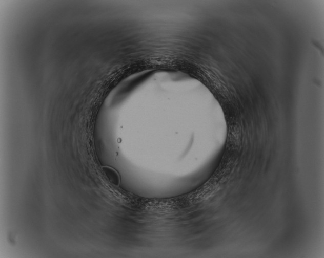 X0000091560817200709071125