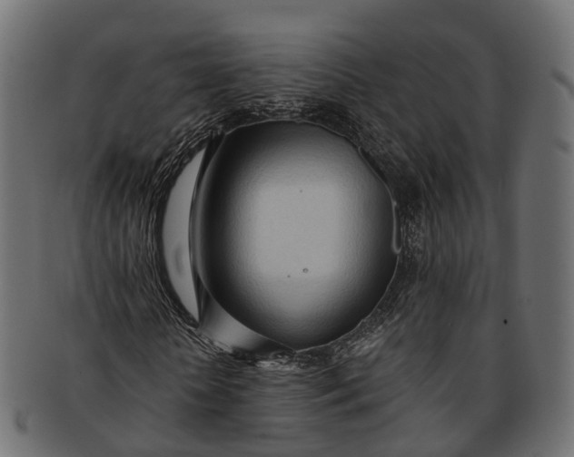 X0000091560818200709071125