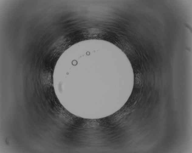 X0000091560820200709071125