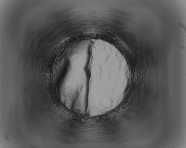 X0000091560821200709071125