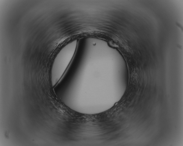 X0000091560822200709071125