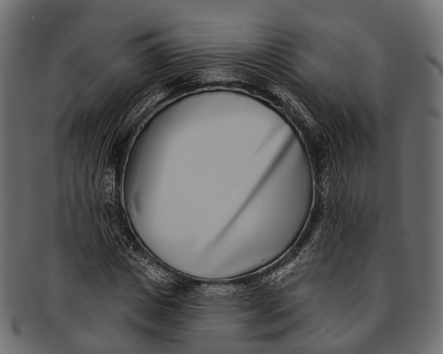 X0000091560825200709071125