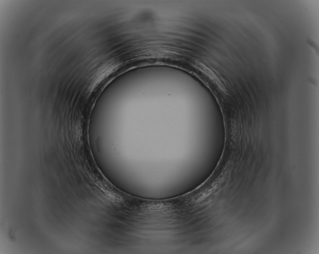 X0000091560826200709071125