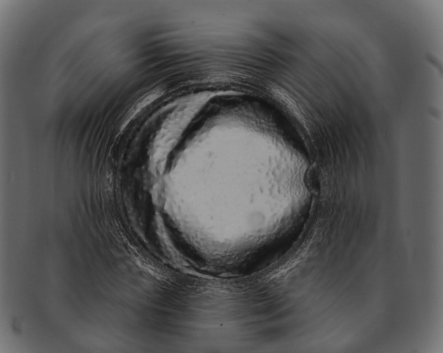 X0000091560827200709071125