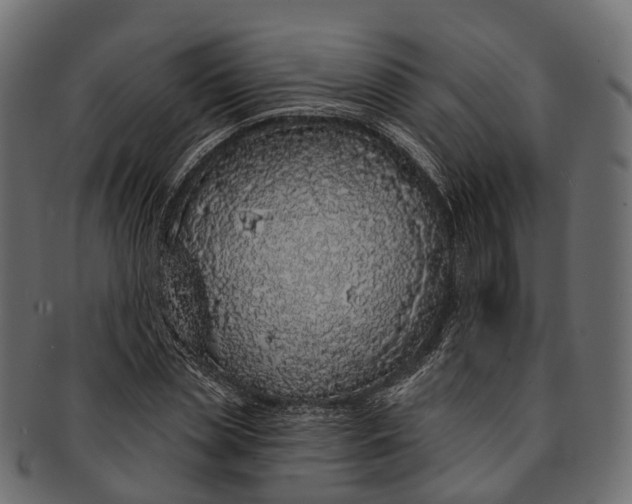 X0000091560829200709071125