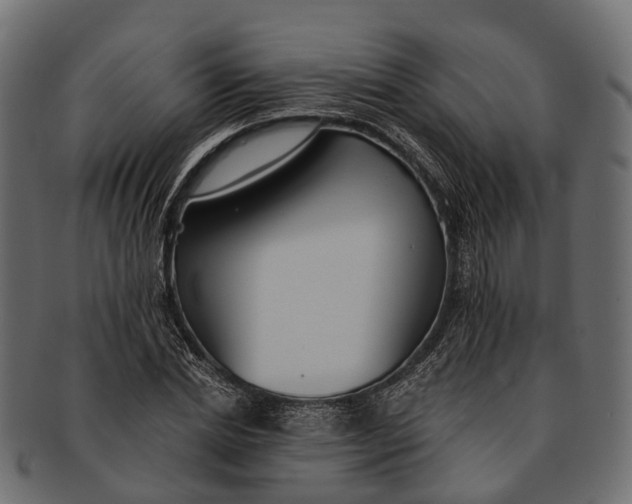 X0000091560830200709071125