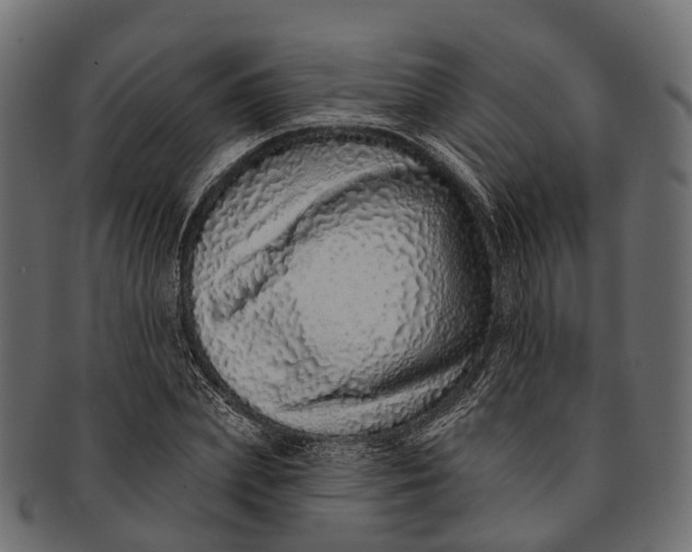 X0000091560831200709071125