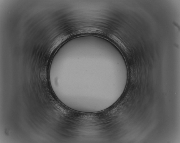 X0000091560834200709071125