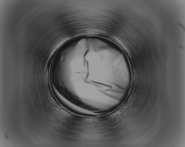 X0000091560835200709071125