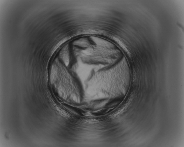 X0000091560837200709071125