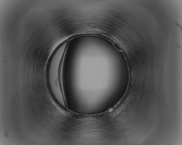 X0000091560838200709071125