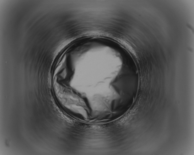 X0000091560839200709071125