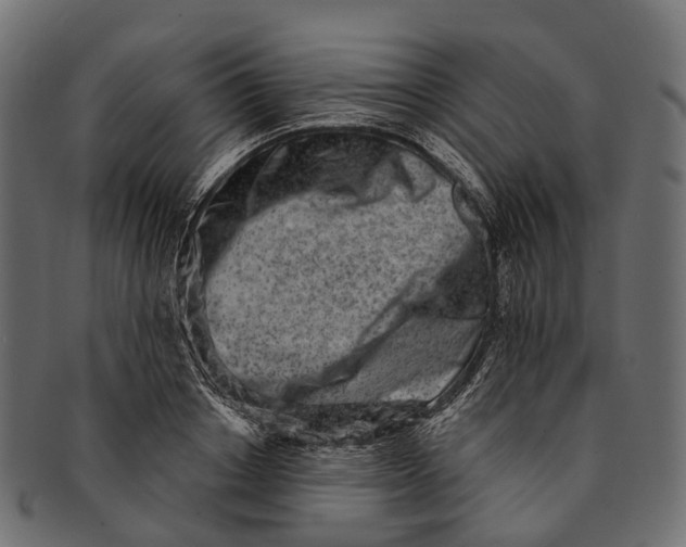 X0000091560842200709071125