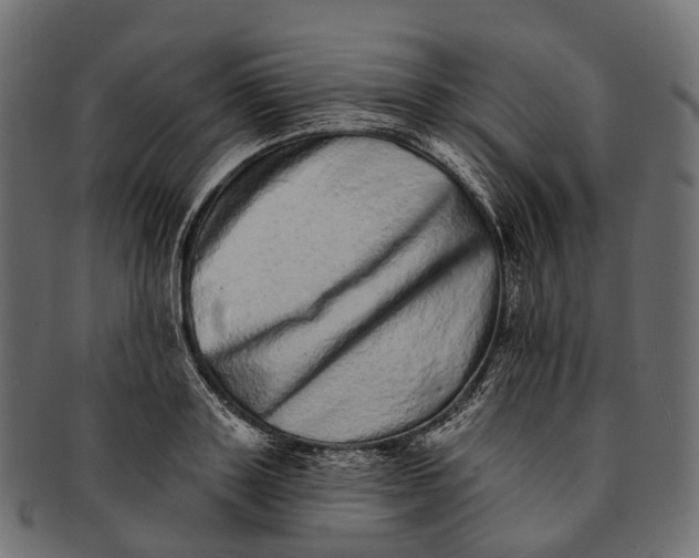 X0000091560843200709071125