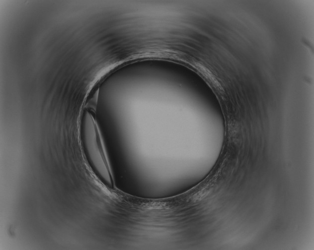 X0000091560846200709071125