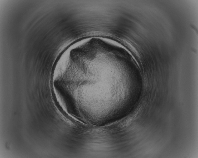 X0000091560847200709071125