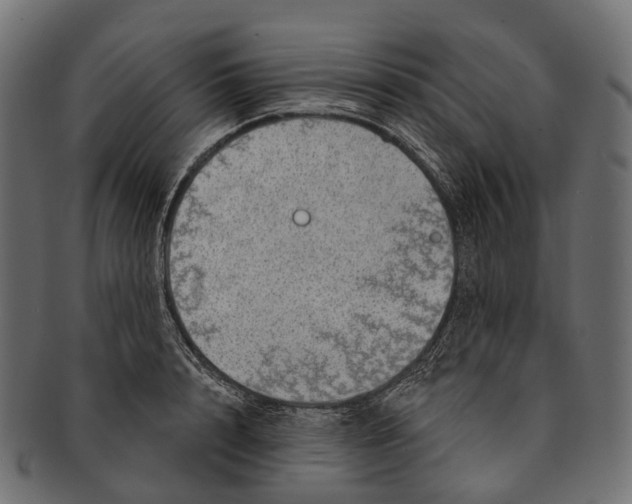 X0000091560848200709071125