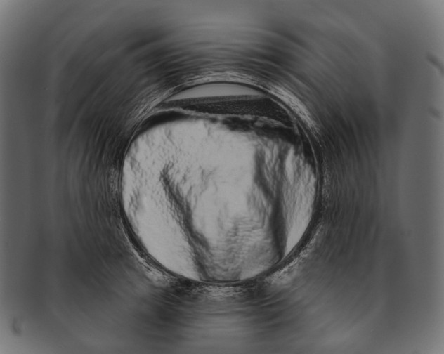 X0000091560849200709071125