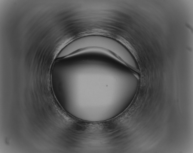 X0000091560850200709071125