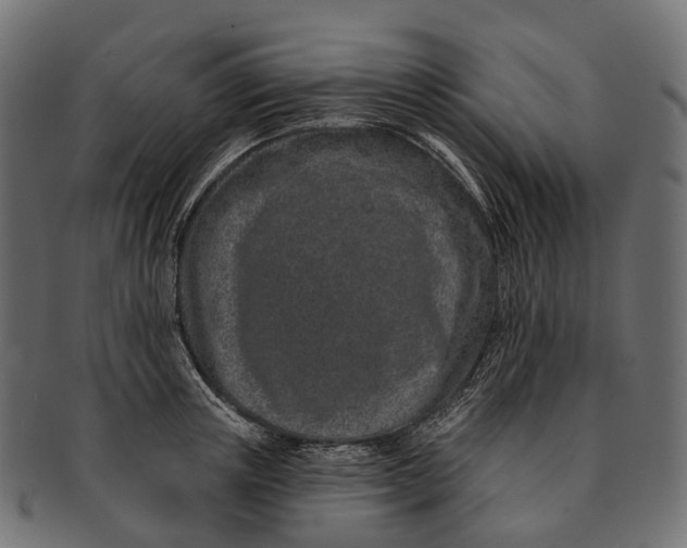 X0000091560851200709071125