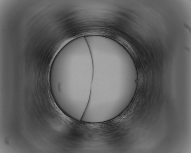 X0000091560852200709071125