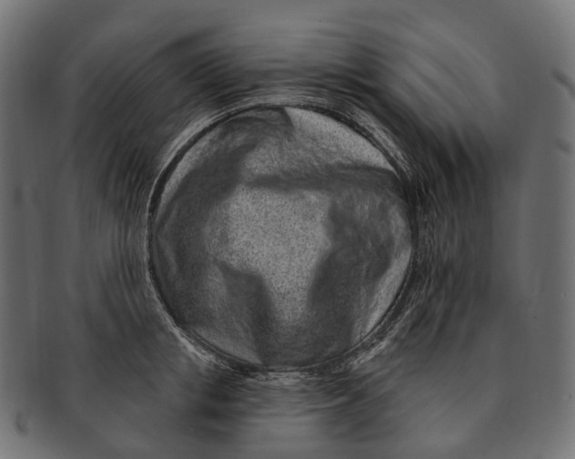 X0000091560853200709071125