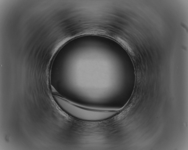 X0000091560854200709071125