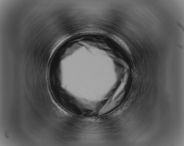 X0000091560855200709071125