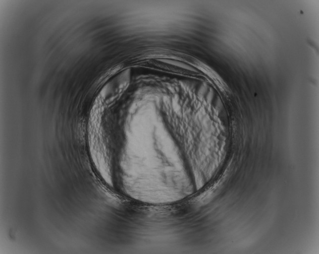 X0000091560857200709071125