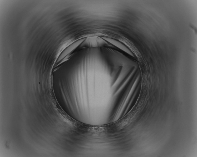 X0000091560858200709071125