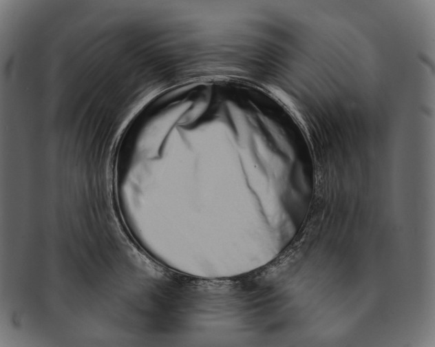 X0000091560859200709071125